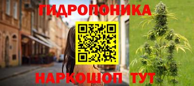 каннабис Кизляр