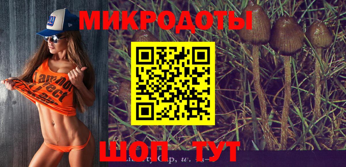 Рузаевка  Галлюциногенные грибы Psilocybine cubensis  Вход с VPN 