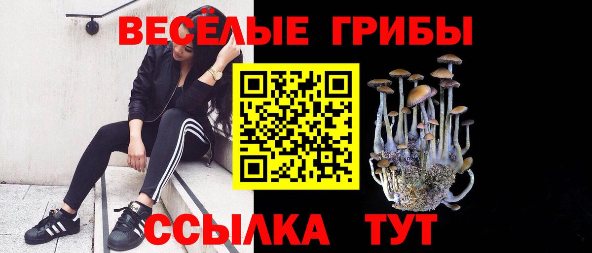 Галлюциногенные грибы мицелий Рузаевка